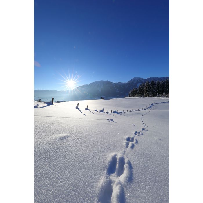 Skiurlaub auf der Sonnenseite des Winters