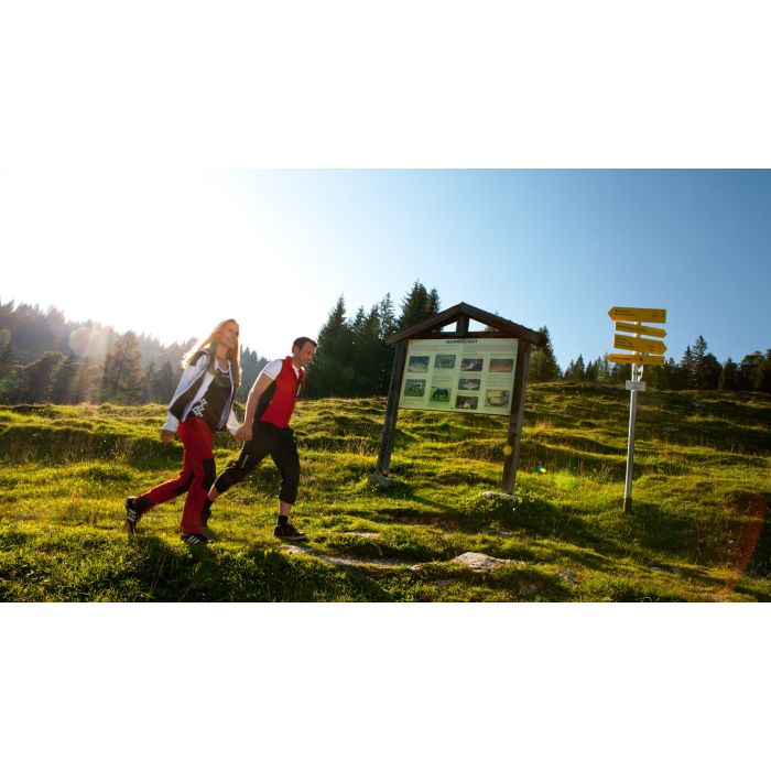 Autofrei in die Wanderregion Abtenau