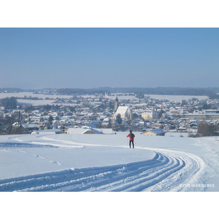 Alpakawanderung durch die Winterlandschaft
