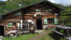 Almromantik – Flitterwochen auf der Präau-Hochalm