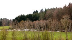 Tipps für richtiges Verhalten im Wald