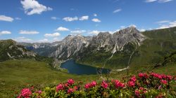 Unterwegs am Salzburger Almenweg