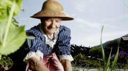 Hollersbacher Kräutergarten