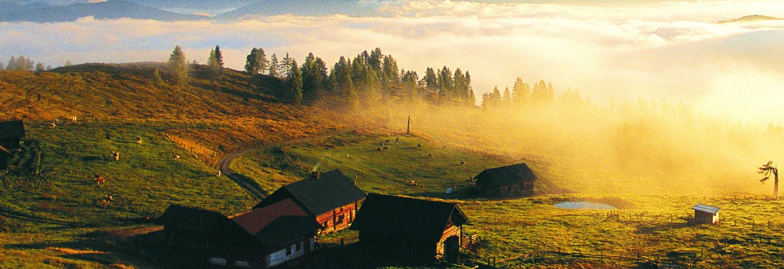 Lackenalm - Salzburger Sportwelt