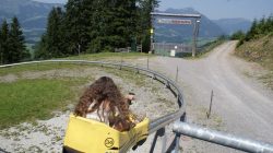Bergab mit der Sommerrodelbahn