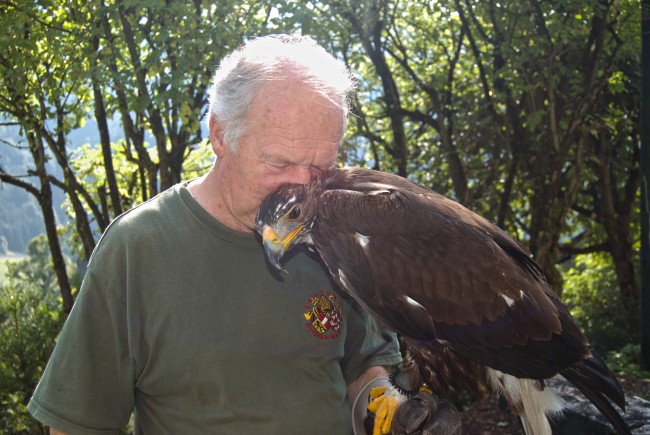 Dieses Bild verdeutlicht die enge Bindung zwischen Falkner und Steinadler