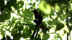 Meine Nacht im Wald