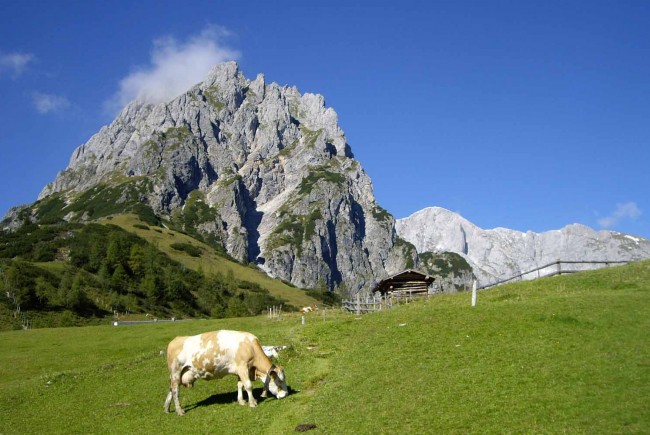 Hochkönig