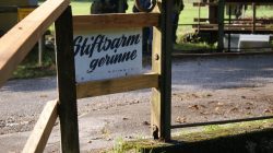 Auf den Spuren des Wassers