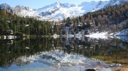 Der Reedsee im Kötschachtal