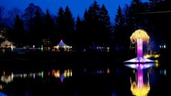 Waldklang  – der etwas andere Adventmarkt