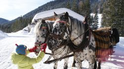 Vorwärts die Rösser traben