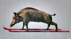 Skiunfälle vermeiden