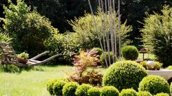 Salzburg-City-Trip ins Grüne