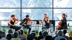 Eintauchen ins Mozarteum