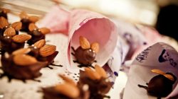 Sie fliegen wieder – Trüffel-Maikäfer der Confiserie Braun