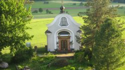 Kuhglocken statt Orgelklänge: Heiraten am Bauernhof