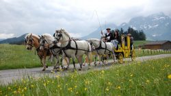 Edle Rösser, alte Kutschen, fesche Fiaker