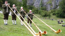 Symphonie des Waldes