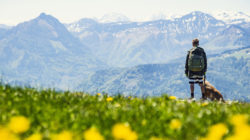 Wandern mit Hund