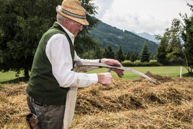 Bevor das Korn geschnitten wird sorgt Franz mit dem Wetstein für a guade Schneid.