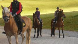Faszination Reiten