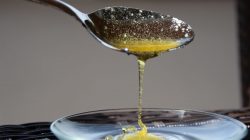 Honig – heilsam und schmackhaft