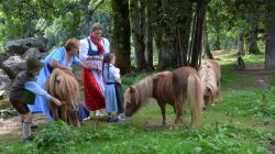 Leben & Urlaub am 800 Jahre alten Bauernhof