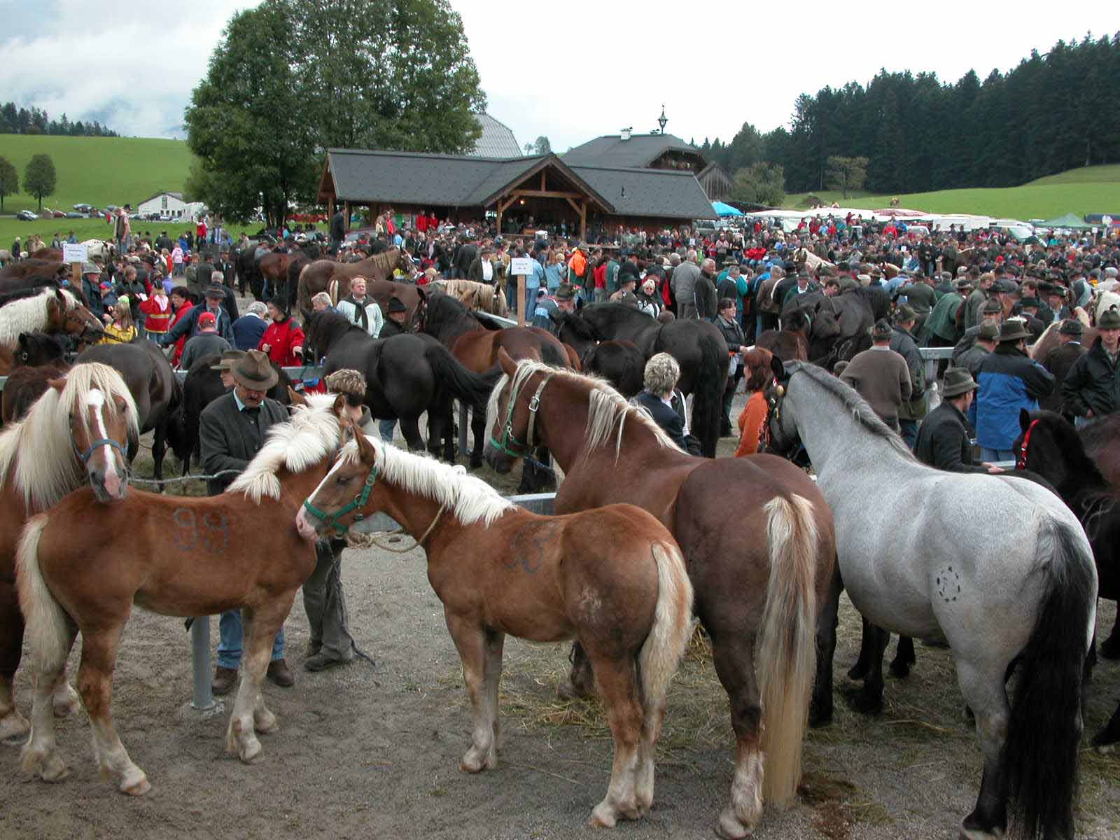 Warten auf die Versteigerung