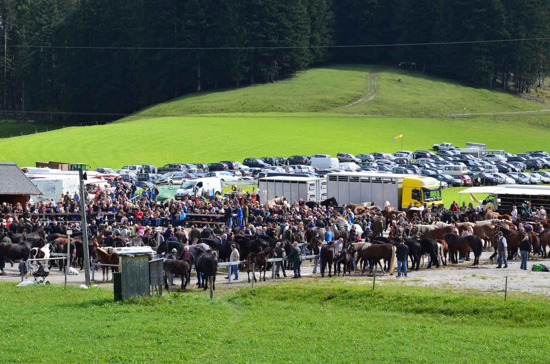 Versteigerungsgelände