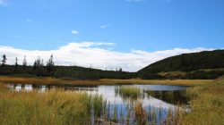 Gerzkopf – Berg der Stille