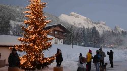 Feiner Weihnachtsmarkt auf dem Winterstellgut