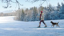 Skiwandern mit Gössl