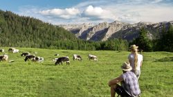 Servus im SalzburgerLand