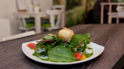 Gesundes Mittagessen „to go“ in der Mozartstadt