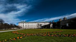 Der Mirabellgarten, die Wohlfühl-Oase für alle
