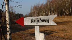 Moorwanderungen, ein Spaziergang im Zauberwald