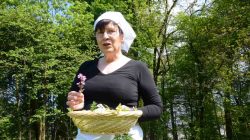 Wildpflanzen: geschmackvoll, würzig und gesund
