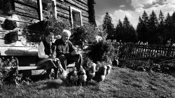 Menschen im SalzburgerLand