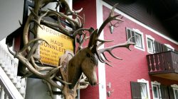 Wo der Gast König ist