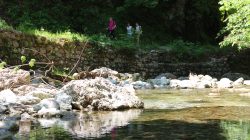 Glasenbachklamm