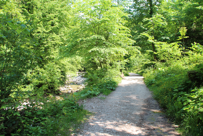 Glasenbachklamm_2