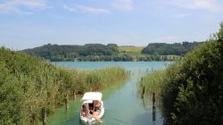Mattsee – ein Sommertag am See