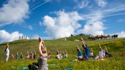 „Ommm“ & „Muuuh“ – Bergyoga auf der Schmittenhöhe