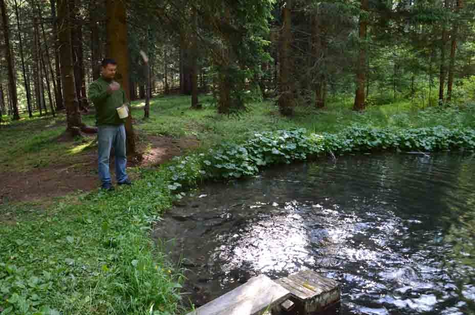 Fische füttern am Blasisee