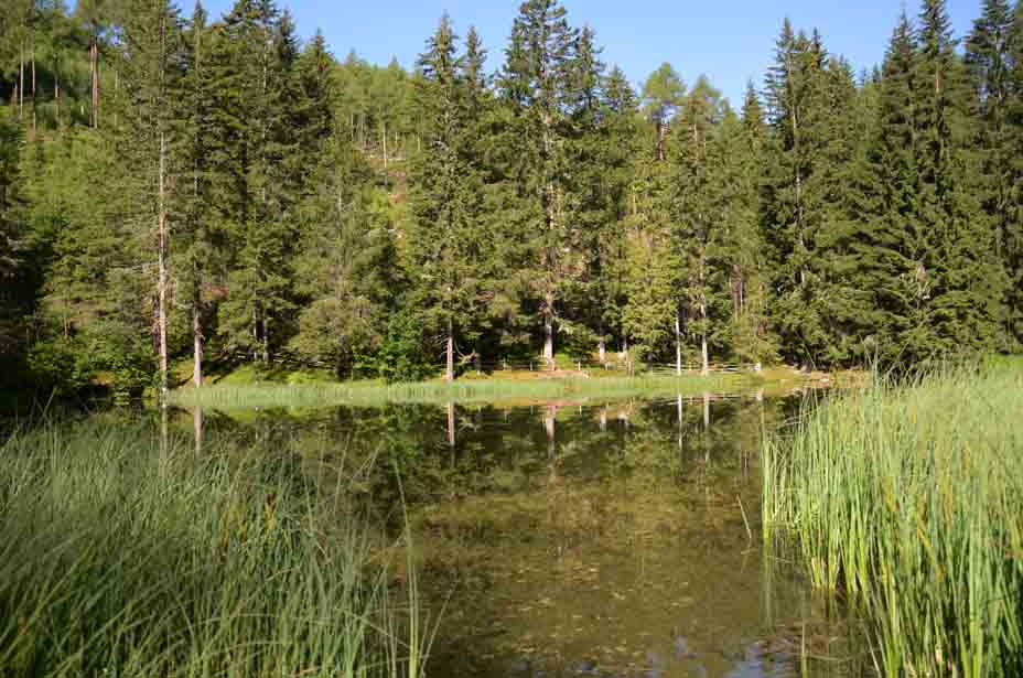 Blasisee mitten im Wald