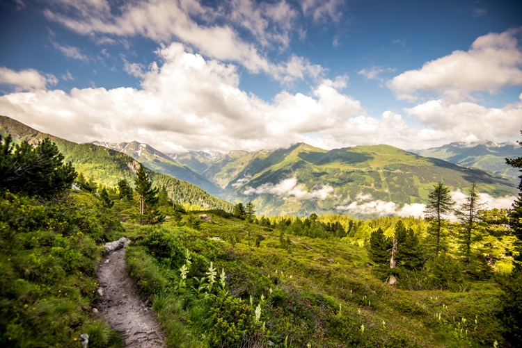 Wanderweg am Graukogel Gasteinertal