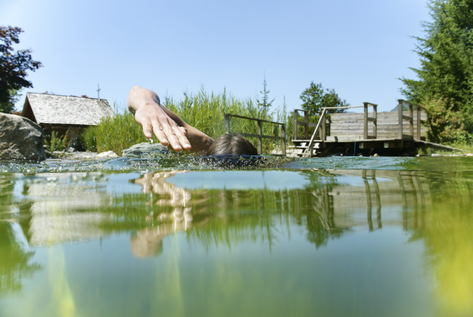 Abtauchen im Naturbadeteich