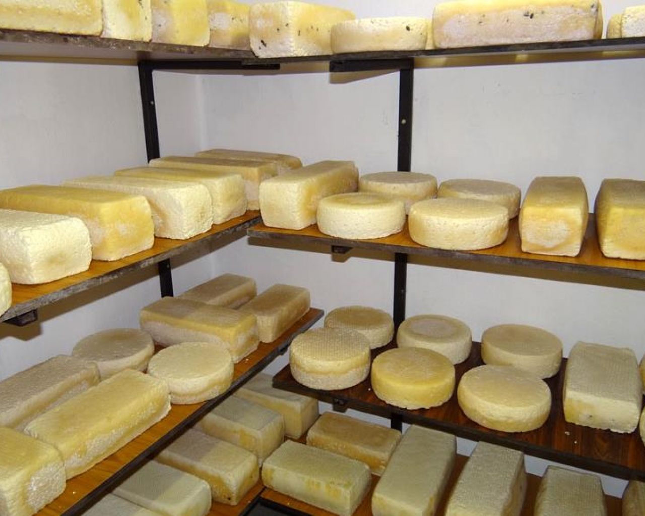 Einkaufen am Bauernhof | SalzburgerLand Magazin