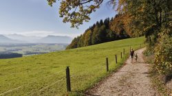 Wandern über dem Mattsee